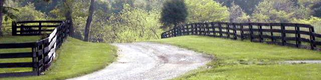 World Wide Wood (Click for a new pic!)
