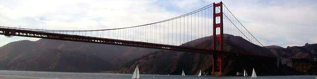 World Wide Wood (Click for a new pic!)