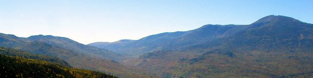 World Wide Wood (Click for a new pic!)