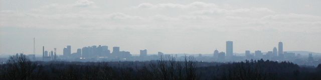 World Wide Wood (Click for a new pic!)