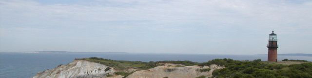 World Wide Wood (Click for a new pic!)
